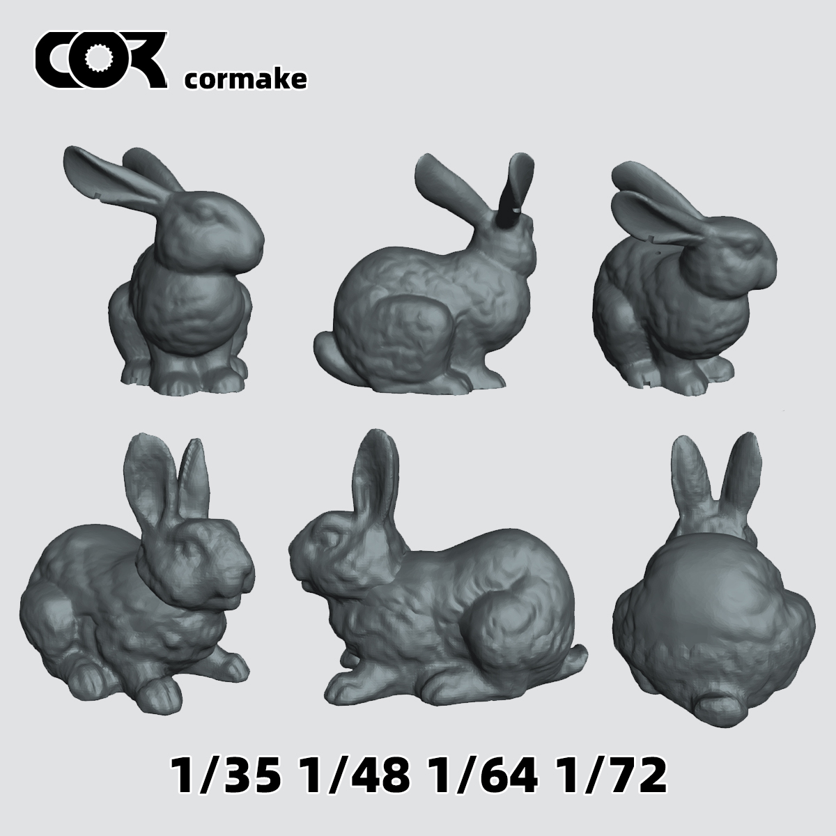 Model Kit History - Zestaw modelu królika 3D z żywicy,